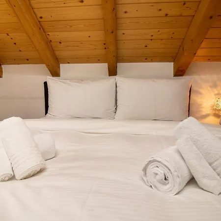 Zentrale Penthouse Im Haus Padrun * Arosa