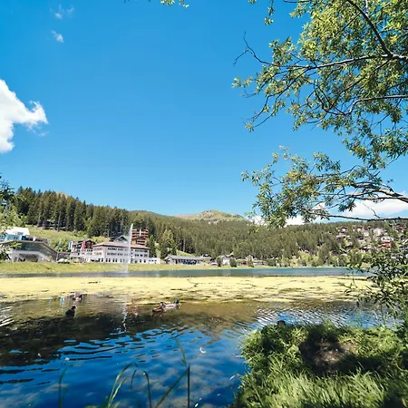 Appartement Penthouse Im Haus Padrun1-weisshornbahn-arosa Zentrum-top Lage *